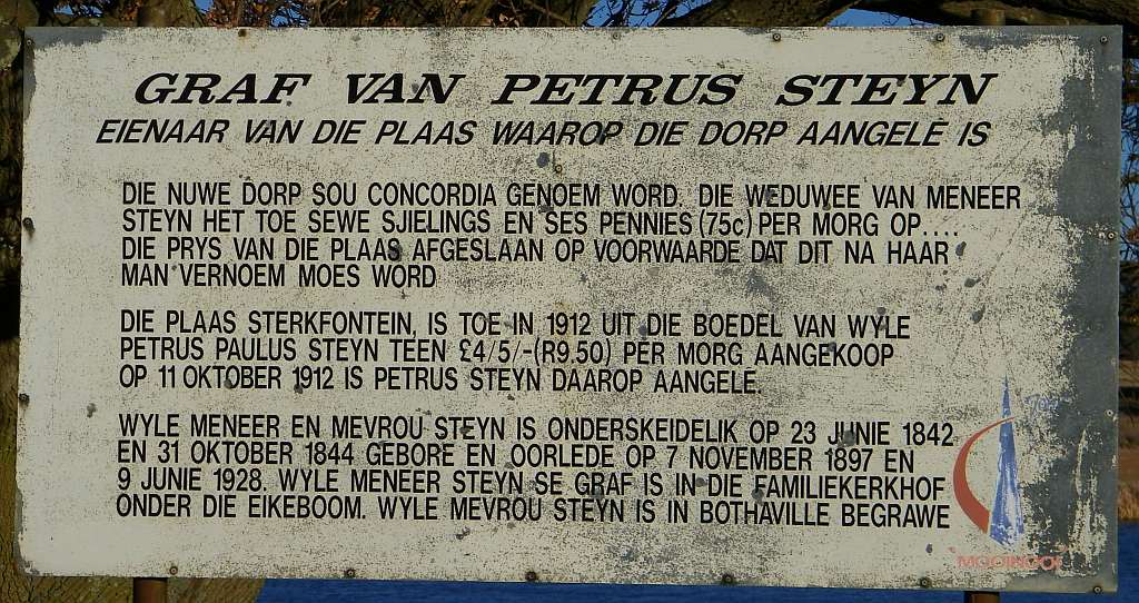 Petrus Steyns grave